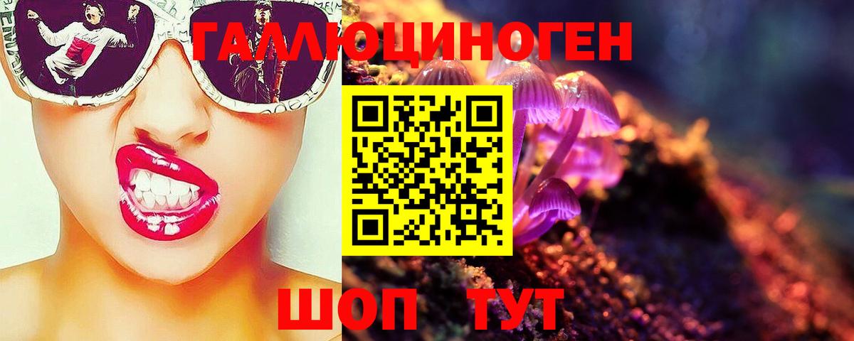 Галлюциногенные грибы Psilocybe  Псилоцибиновые грибы мицелий  купить закладку  Вход с VPN  Саранск 
